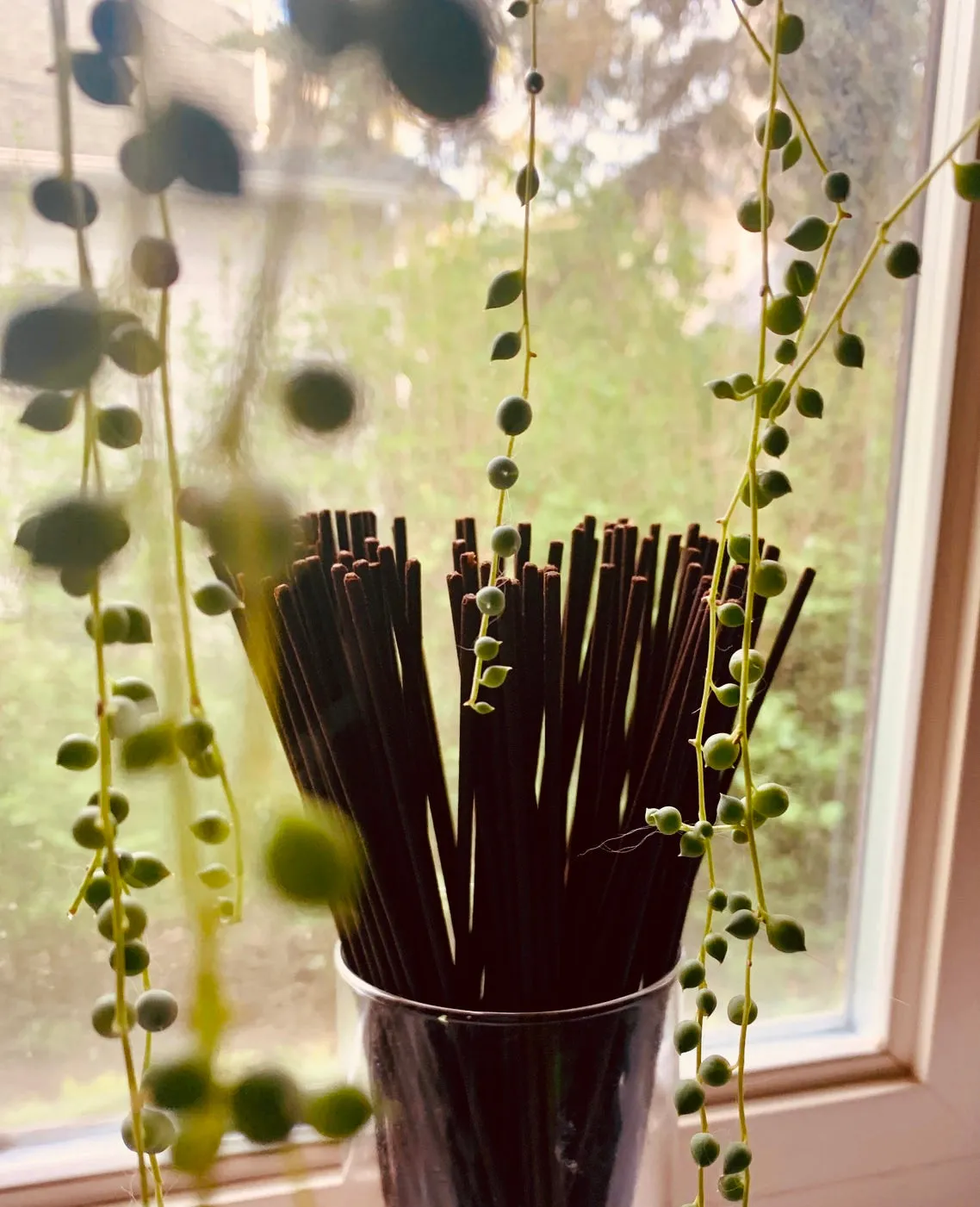 10 Pack of Handmade Eco-Friendly Incense Sticks