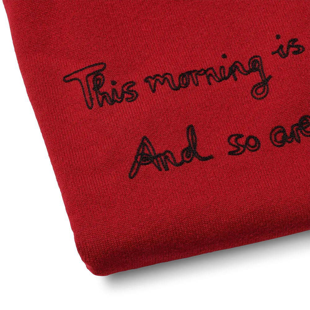 AMAZING JUMPER (RED) THIS MORNING IS AMAZING