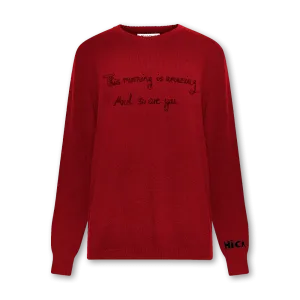 AMAZING JUMPER (RED) THIS MORNING IS AMAZING