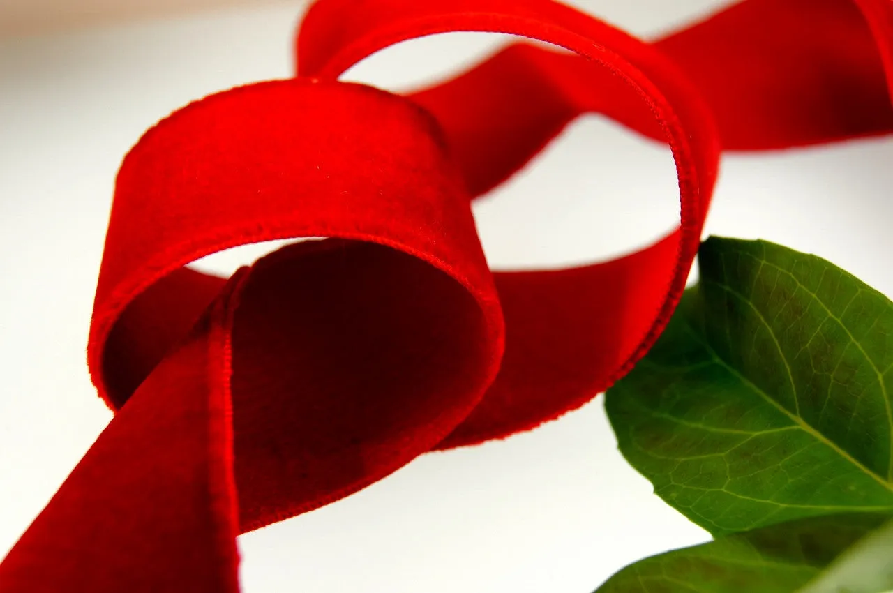 Cardinal Red Silk Cotton Satin Back Velvet Ribbon Mousquetaire Brand by J.B. David St. Etienne Vintage from France 28mm