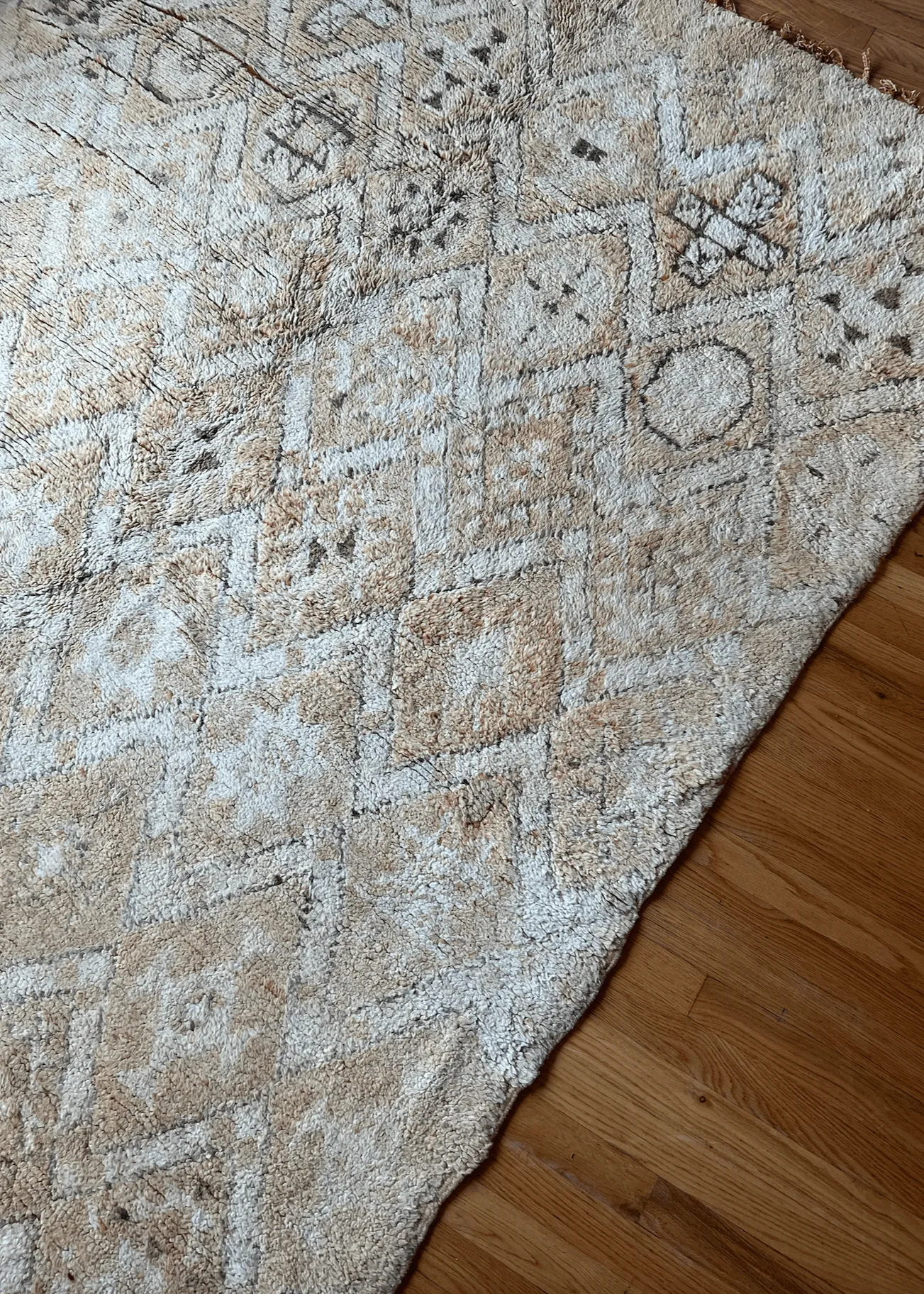 Desert Bliss Area rug