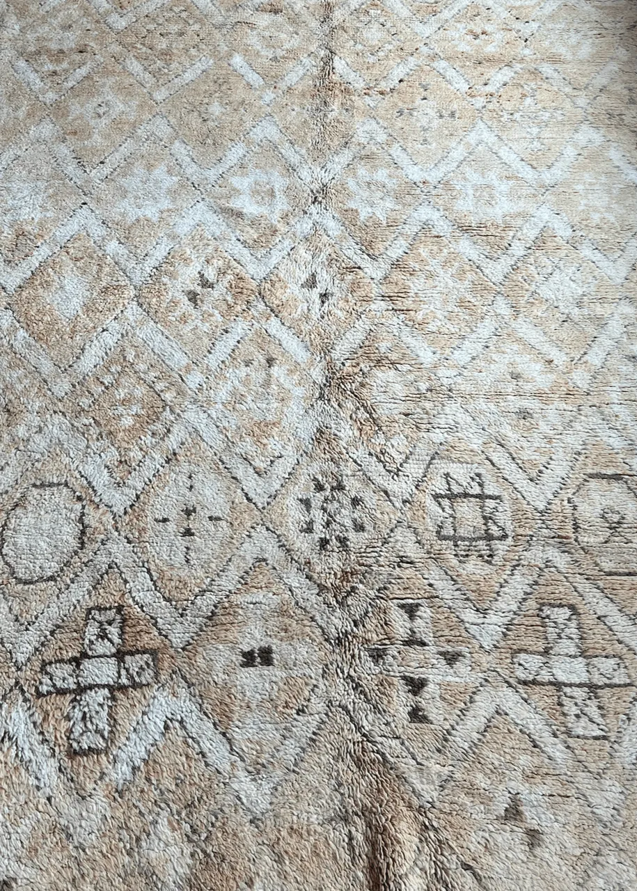 Desert Bliss Area rug