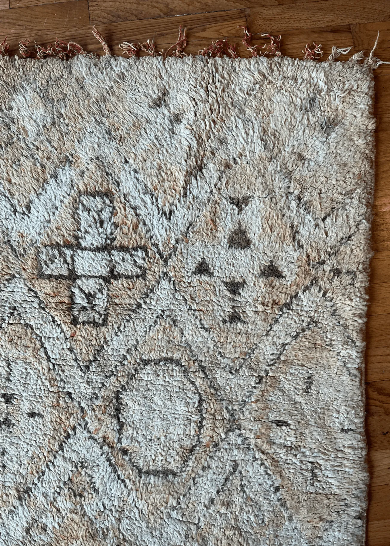 Desert Bliss Area rug