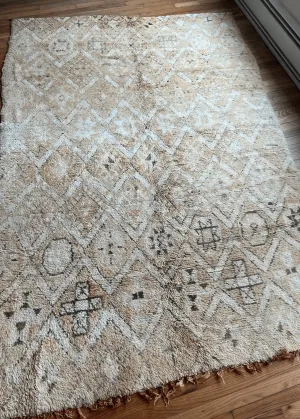 Desert Bliss Area rug