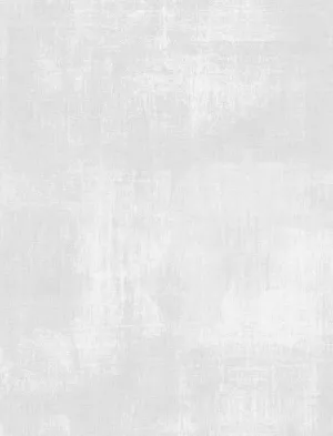 Dry Brush 1077-89205-901 Silver