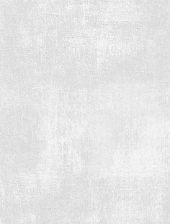 Dry Brush 1077-89205-901 Silver