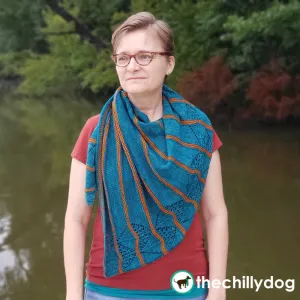 Duck Pond Shawl: Knitting Pattern PDF