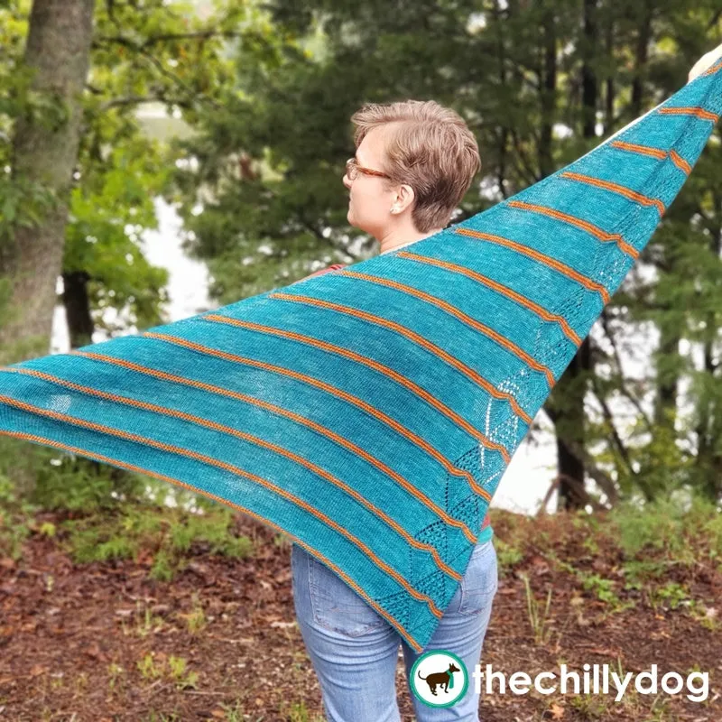 Duck Pond Shawl: Knitting Pattern PDF