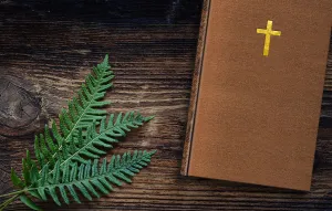 Horns by Joe Hill - Numbered Edition
