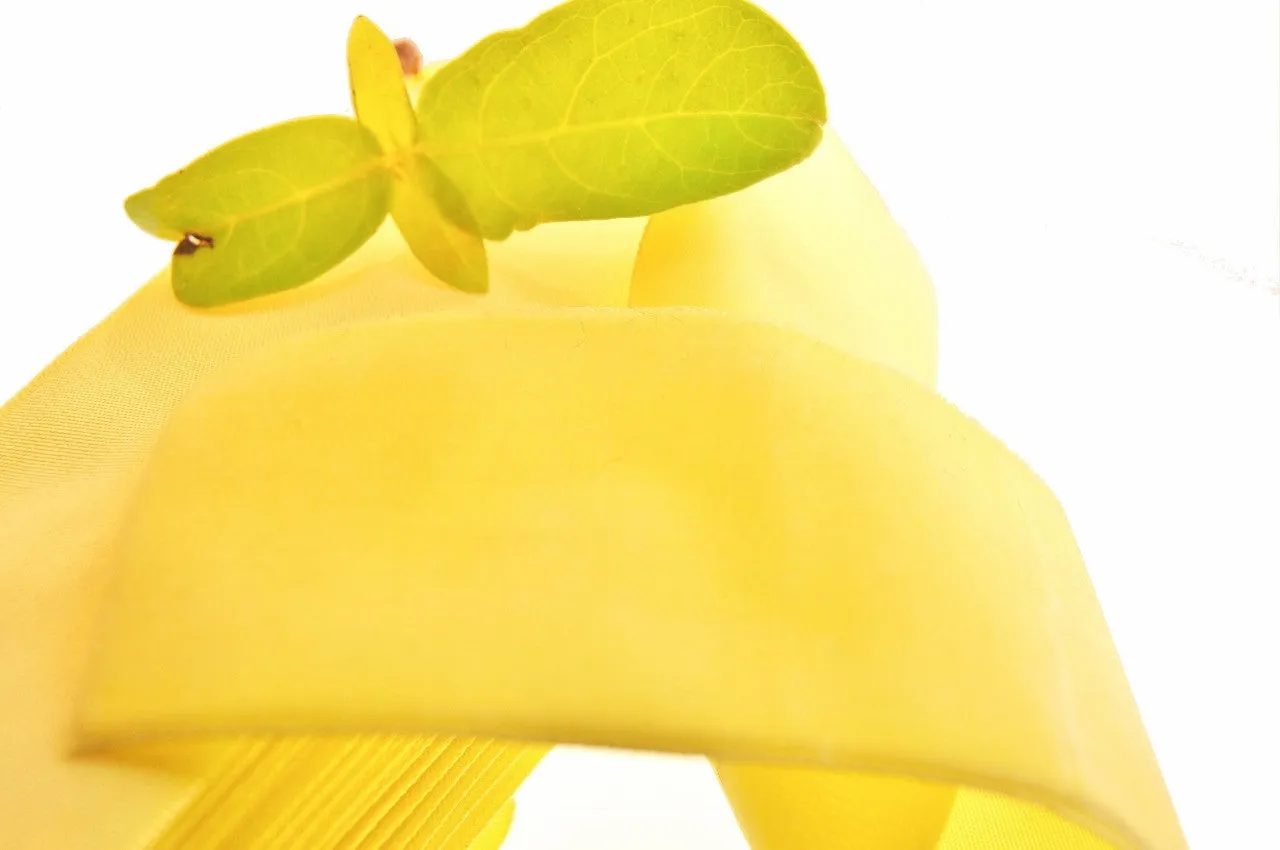 Lemon Velvet Ribbon Vintage from France 50mm