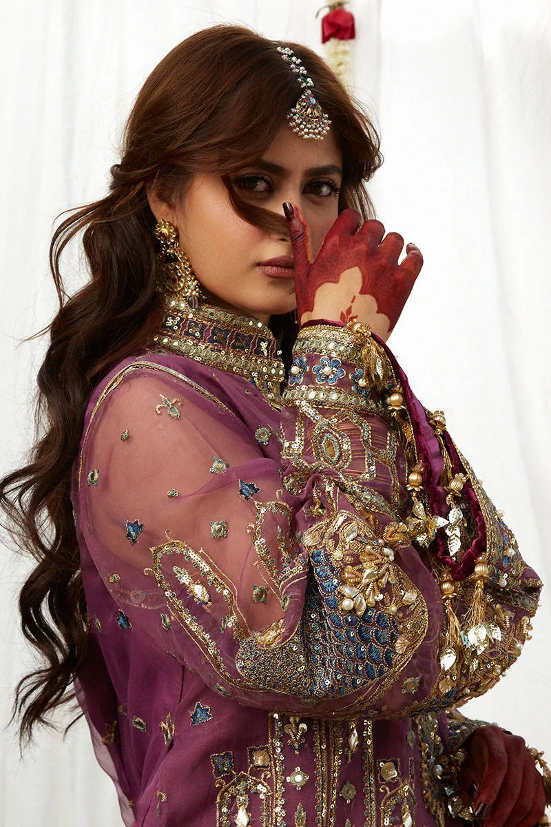 MOHSIN NAVEED RANJHA | WEDDING COLLECTION 2023 - JIGRI