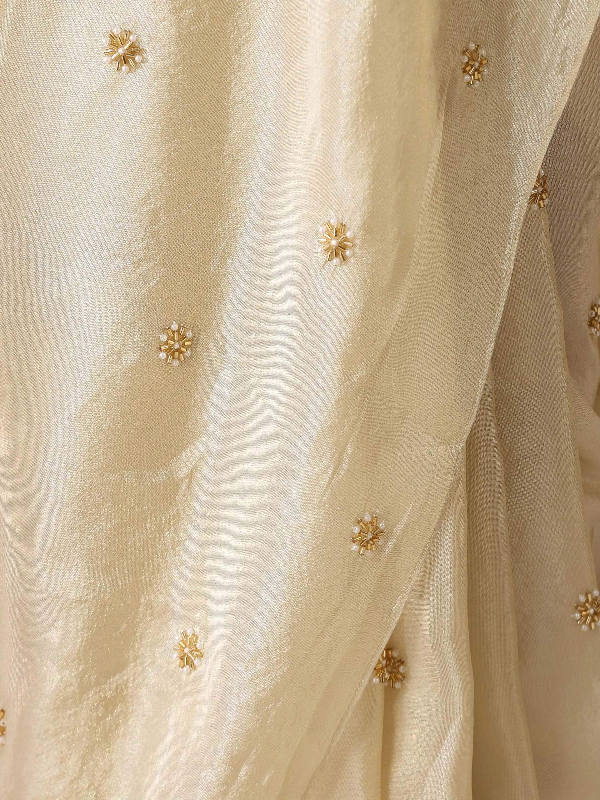 Pure Tissue Hand Beaded Fully Embroidered Saree with Tissue Blouse