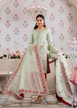 Royal Ice Blue Pakistani Salwar Kameez Embroidered Red Salwar Suit