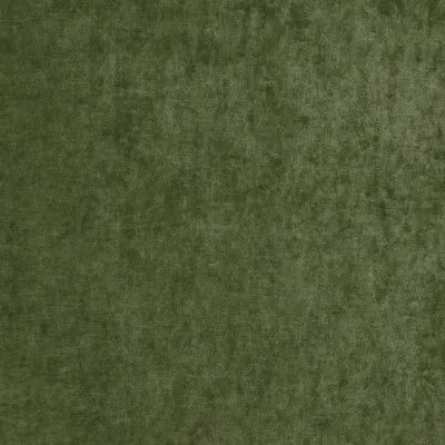 Vintage Velvet-Fern