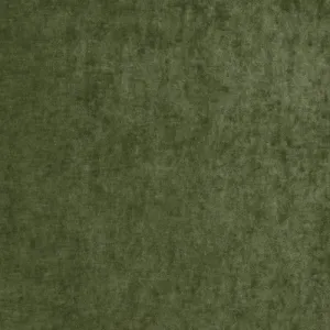 Vintage Velvet-Fern