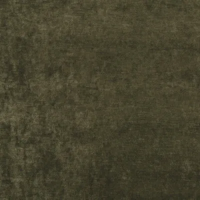 Vintage Velvet-Olive