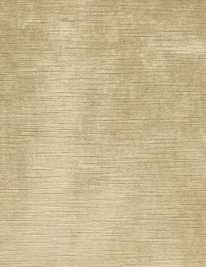 Vintage Velvet-raw silk