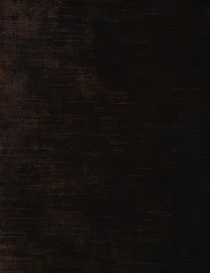 Vintage Velvet-stallion